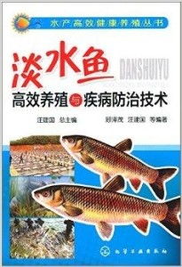 淡水鱼高效养殖与疾病防治技术全攻略