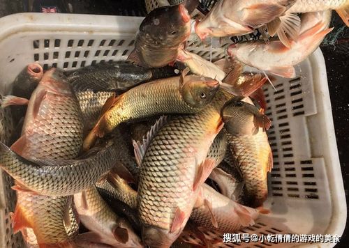 淡水鱼王跌下神坛 6元一斤无人问津，背后的四个真相让所有人沉默